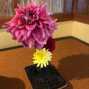 Meet your Posher, Aimee